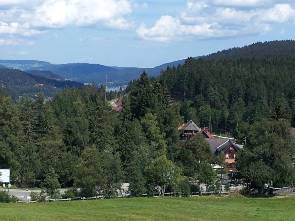 Schwarzwald-Chalet Feldberg Apartamento Feldberg  Exterior foto